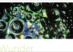 Wunder