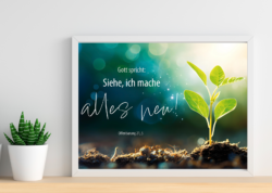 A3 Poster Jahreslosung 2026 Pflanze