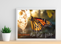 Jahreslosung 2026 4youmedia Schmetterling Poster