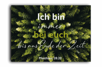 341-118-050-Landscape-Card Postkarte mit Bibelvers Christliche Landschaftskarte Wald 4youmedia Verlag