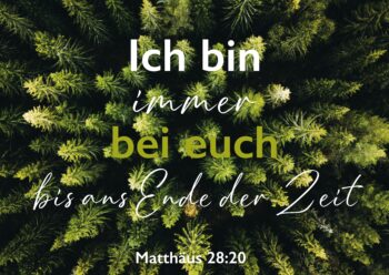 341-118-050-Landscape-Card Postkarte mit Bibelvers Christliche Landschaftskarte Wald 4youmedia Verlag