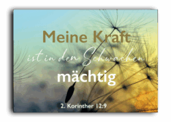 341-118-053-Landscape-Cards Pusteblume Postkarte mit Bibelvers 4youmedia Verlag