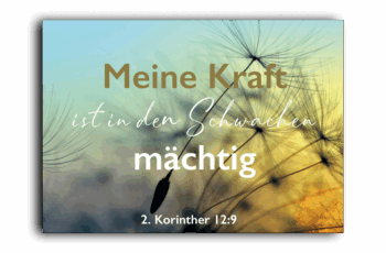 341-118-053-Landscape-Cards Pusteblume Postkarte mit Bibelvers 4youmedia Verlag