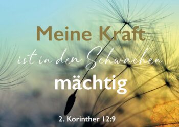 Landscape-Card Pusteblume Postkarte mit Bibelvers 4youmedia Verlag