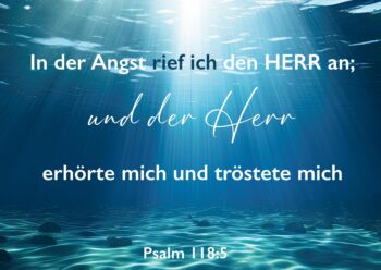 341-118-055-Landscape-Cards_VS-q-A6-Unterwasser