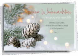 Faltkarte Weihnachten Tannenzapfen