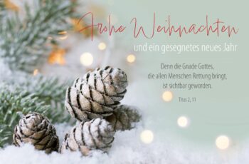 Faltkarte Weihnachten Tannenzapfen – Bild 2